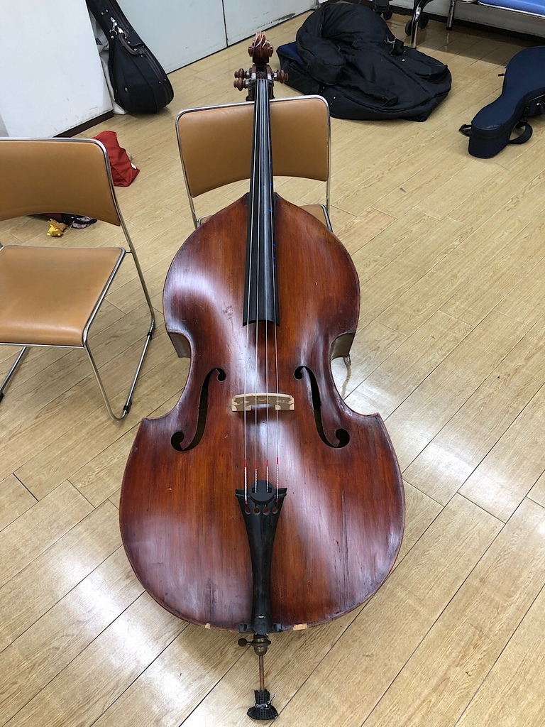 Contrabass